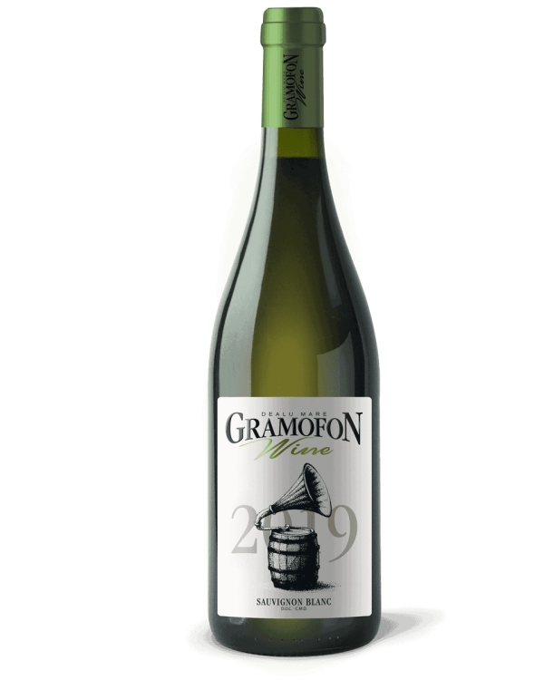 Gramofon Wine Sauvignon Blanc