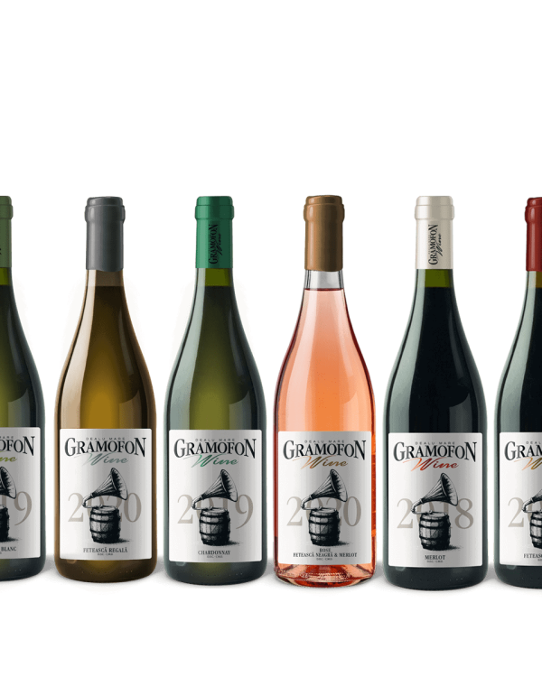 Gramofon Wine Cel de Fineturi