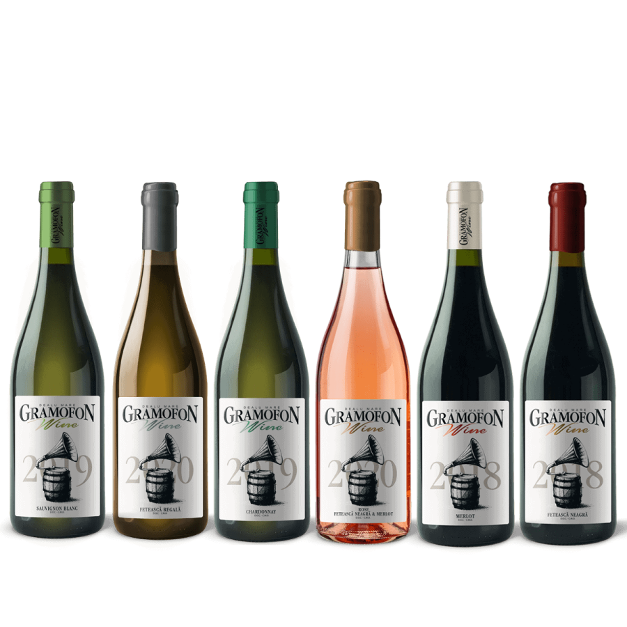 Gramofon Wine Cel de Fineturi