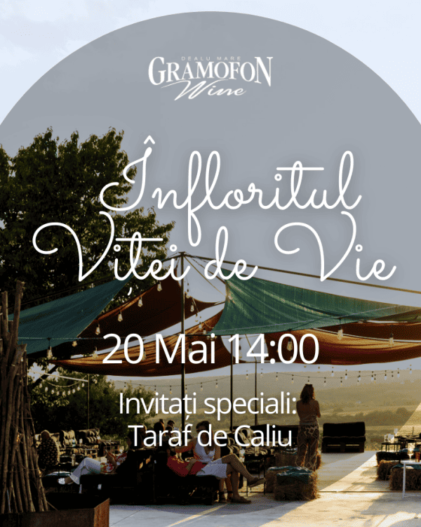Infloritul Vitei de Vie